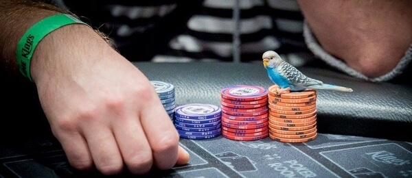 Forbes Pokerman Open: Dominik Reišl byl nelepší ve dni 1B