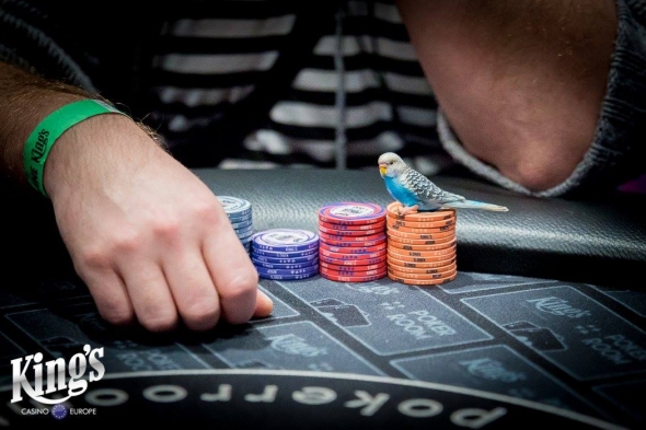 Forbes Pokerman Open: Dominik Reišl byl nelepší ve dni 1B
