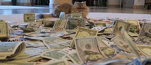 Poker cat alias Cosmo je hvězdou hudebního klipu.