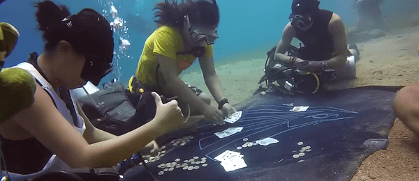 Potápěče překvapila pokerová hra osm metrů pod hladinou