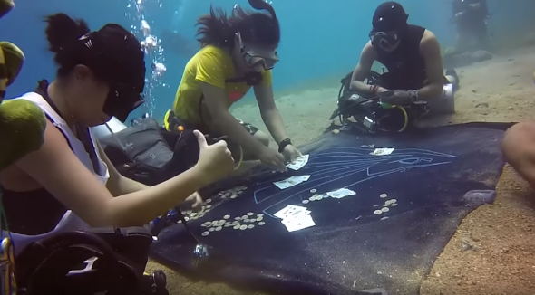 Potápěče překvapila pokerová hra osm metrů pod hladinou