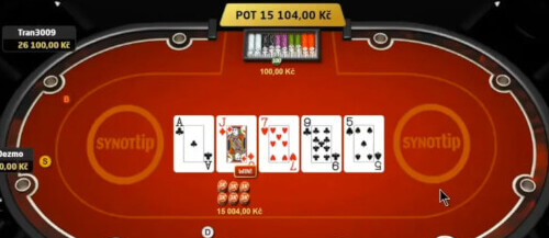 Online poker u Synot tipu