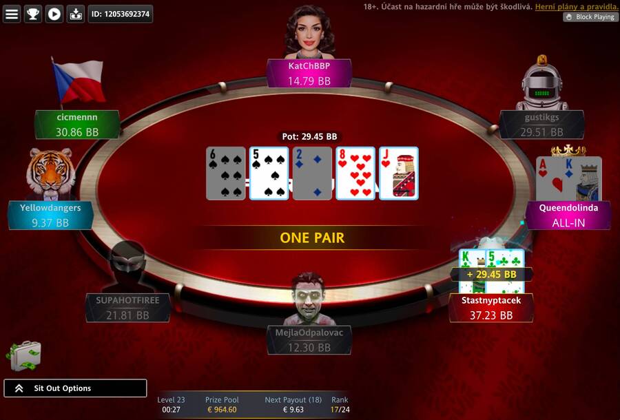 Pocket Queenie s&nbsp;A-K vyřadil Lucky Bird po agresivním 3-bet shovu s&nbsp;K-5s